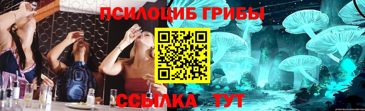 Псилоцибиновые грибы мицелий Тайшет