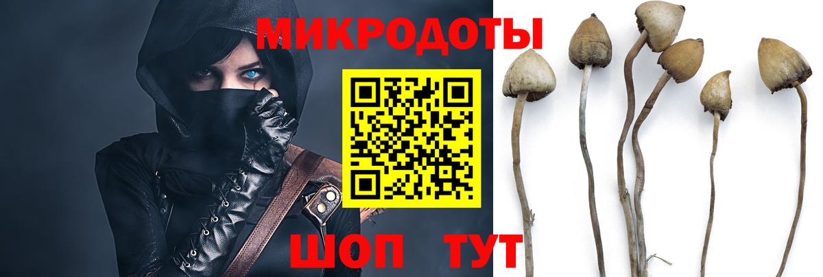Галлюциногенные грибы Magic Shrooms  Вход с VPN  Галлюциногенные грибы Psilocybe  Тайшет 